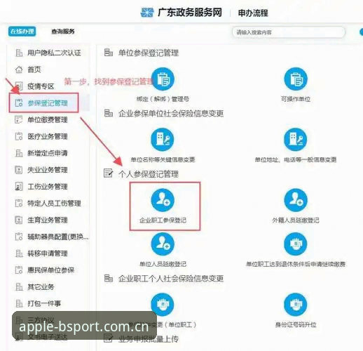 b体育苹果版下载安装全流程详解：从旧版到新版的完整指南